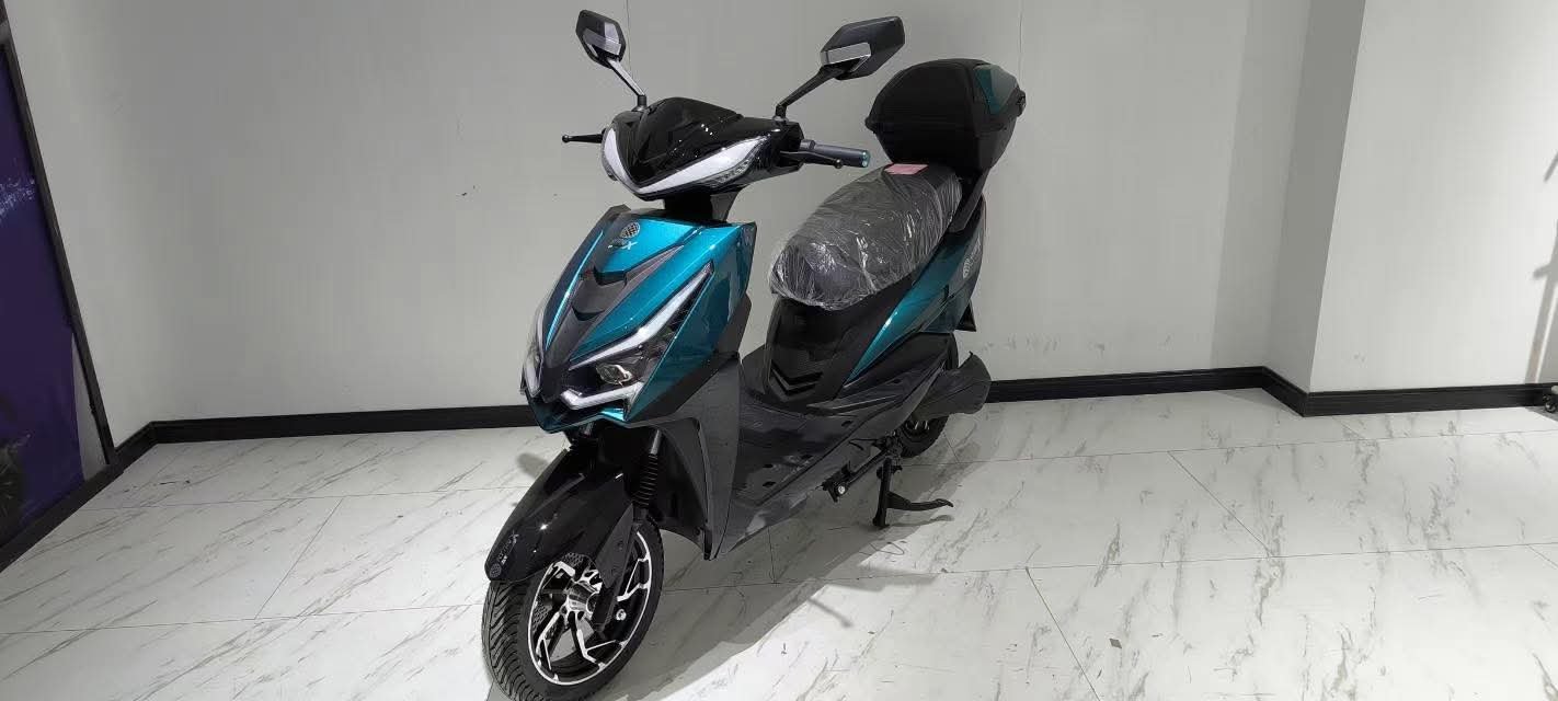 kilometrage motorbike nytrux zl9 qx image